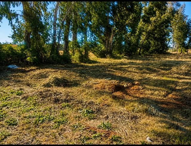 1,119M² VACANT LAND FOR SALE IN KOOKRUS